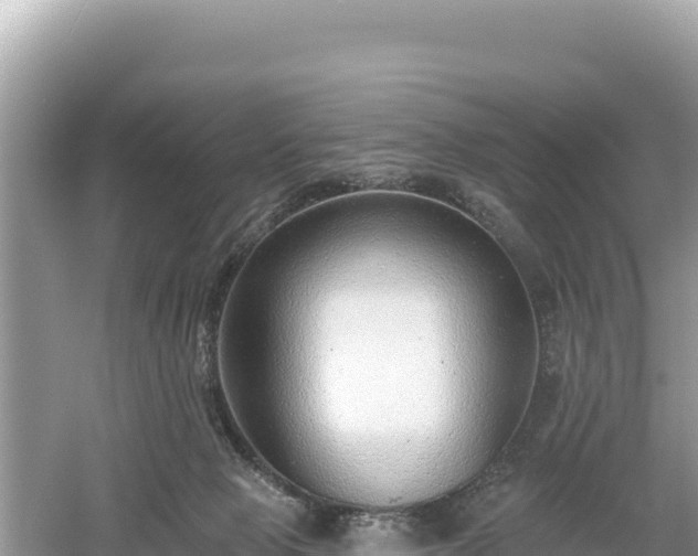 X0000061730077200512050945