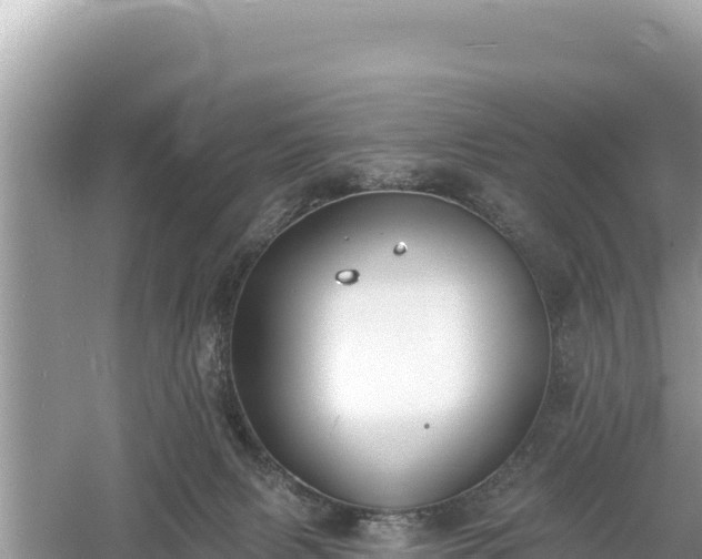 X0000061730079200512050945