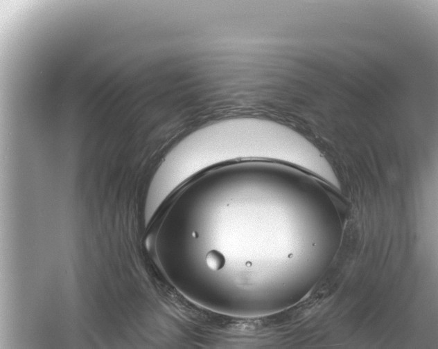 X0000061730080200512050945