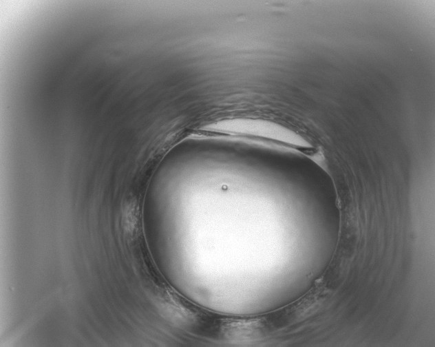 X0000061730081200512050945