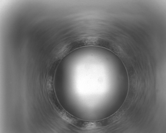 X0000061730083200512050945