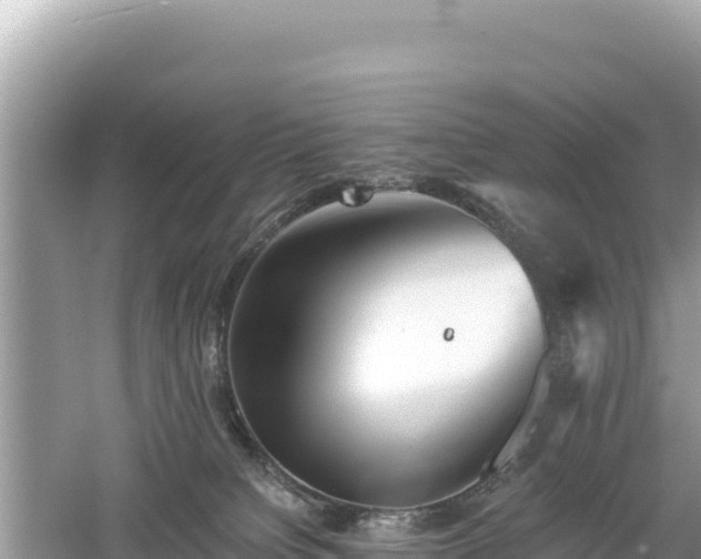 X0000061730084200512050945