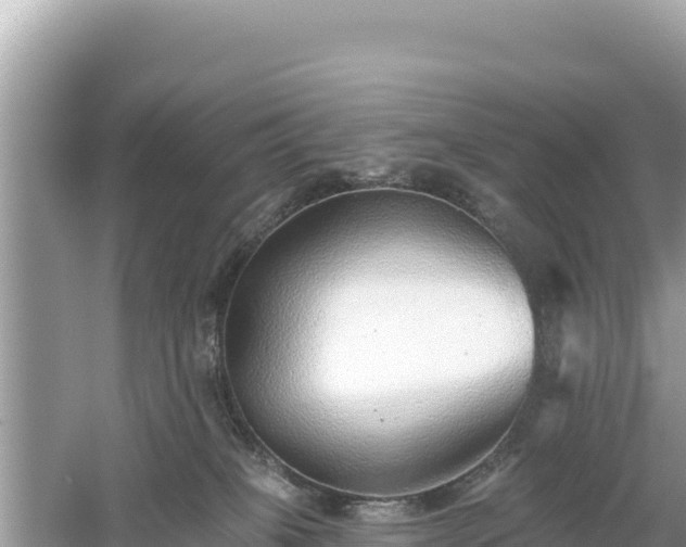 X0000061730085200512050945