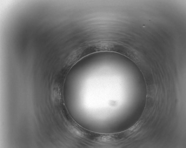 X0000061730086200512050945