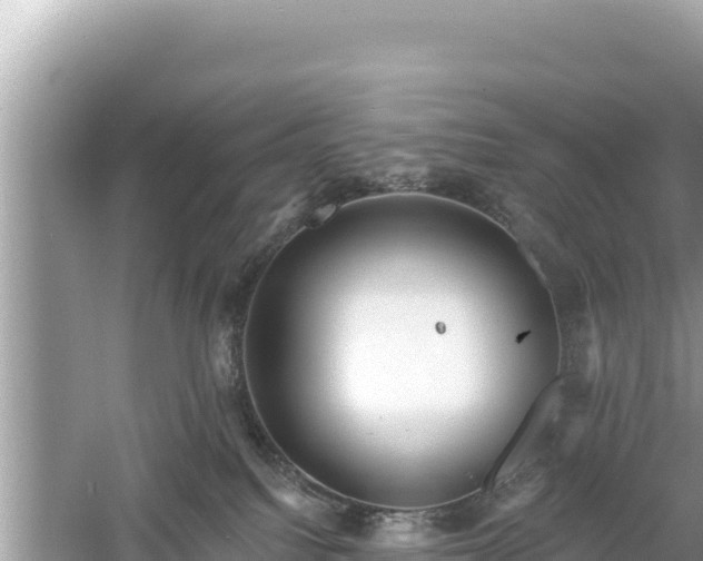 X0000061730088200512050945