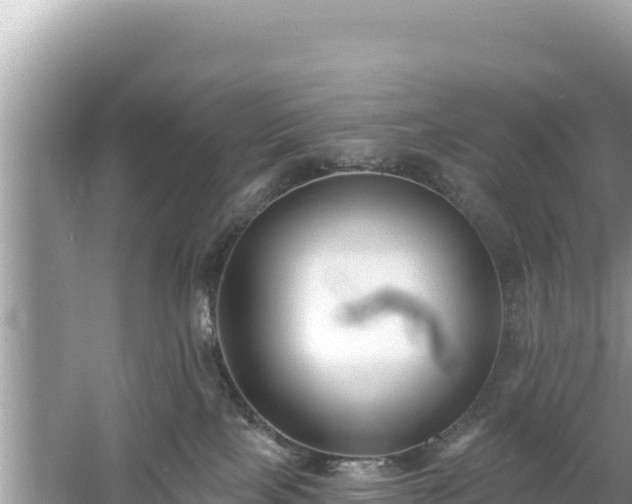 X0000061730089200512050945