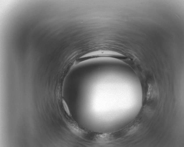 X0000061730092200512050945