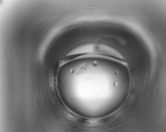 X0000061730093200512050945