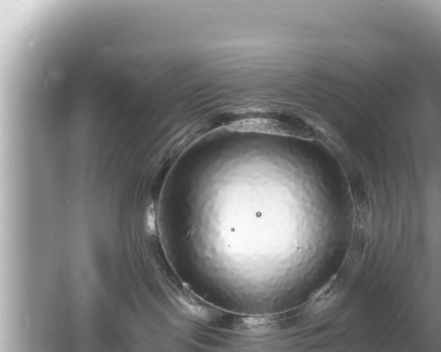 X0000061730095200512050945