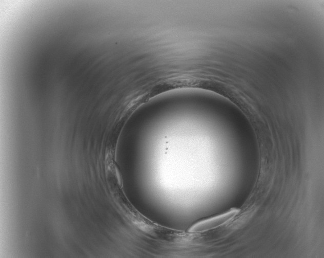 X0000061730096200512050945