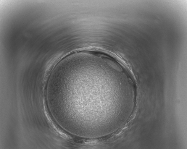 X0000061730097200512050944