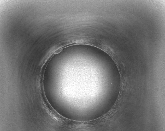 X0000061730098200512050944