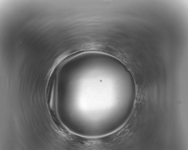 X0000061730099200512050944