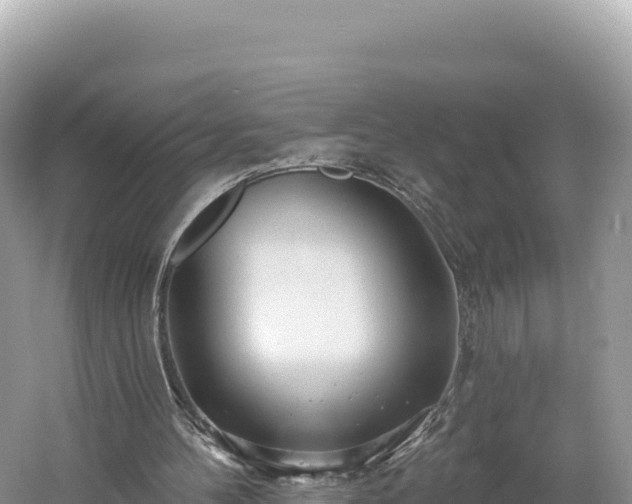 X0000061730100200512050944