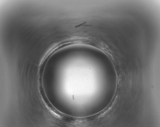 X0000061730101200512050944