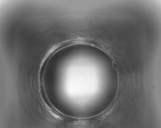 X0000061730102200512050944