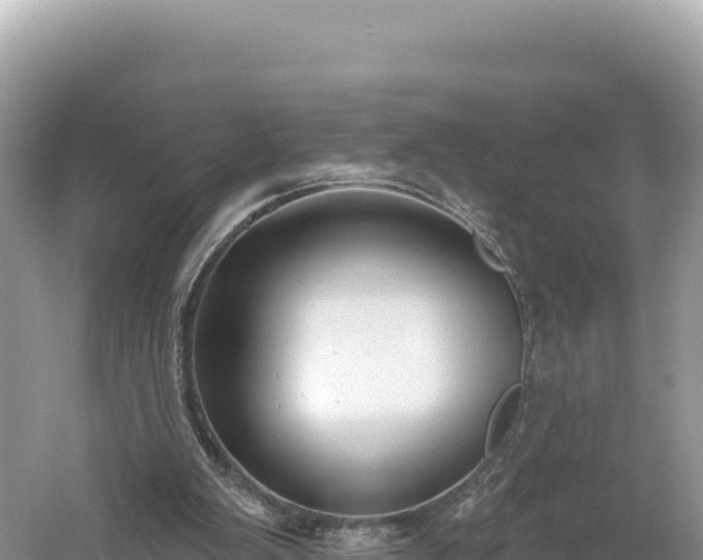 X0000061730103200512050944