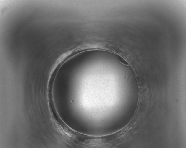 X0000061730104200512050944