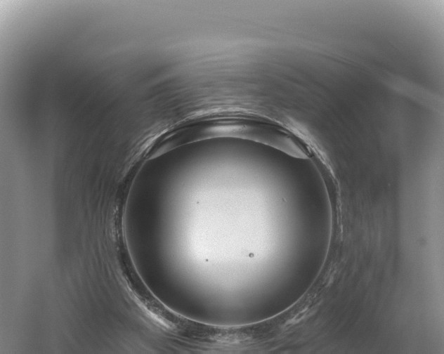 X0000061730105200512050944