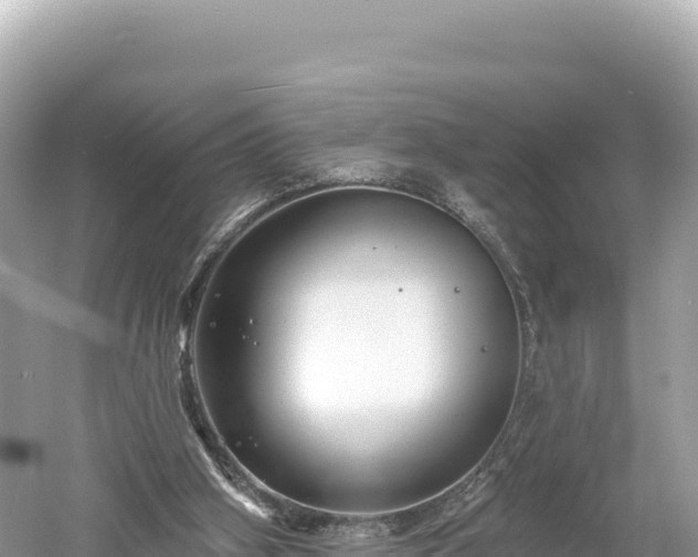 X0000061730106200512050944