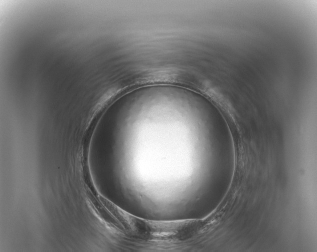 X0000061730107200512050944