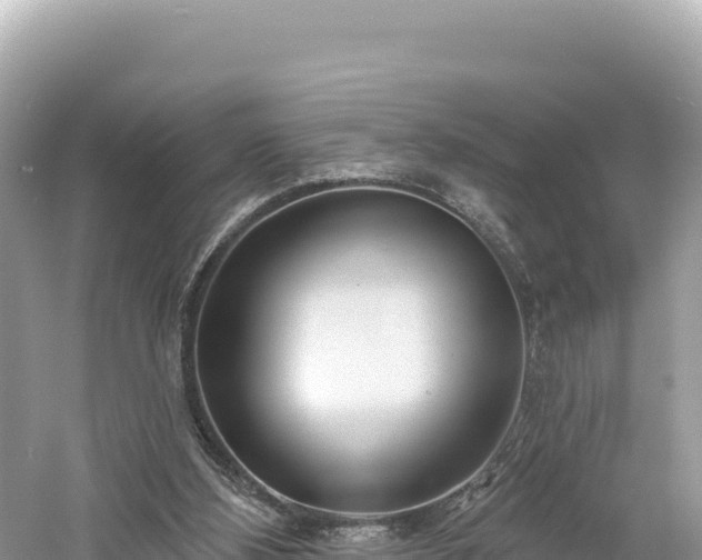 X0000061730108200512050944