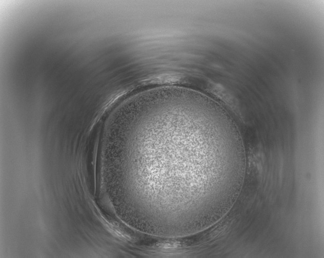 X0000061730110200512050944