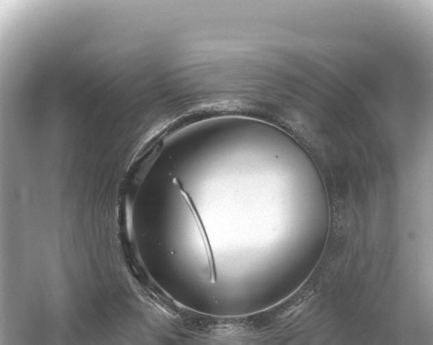 X0000061730111200512050944