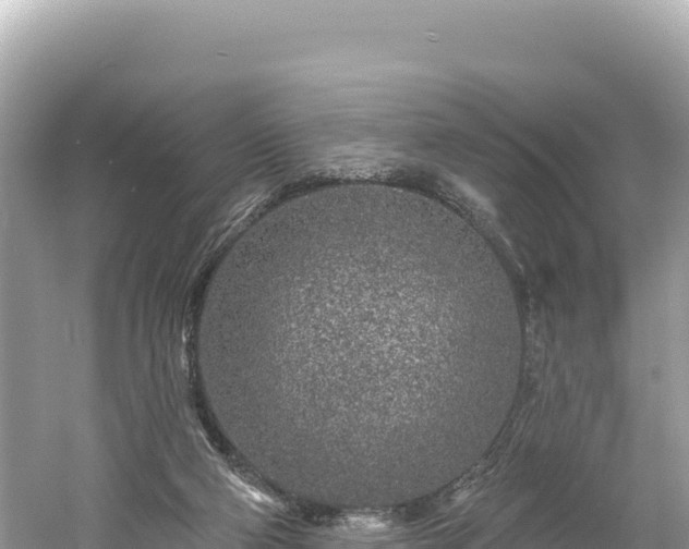 X0000061730114200512050944