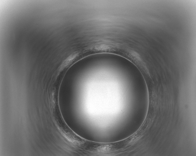 X0000061730116200512050944