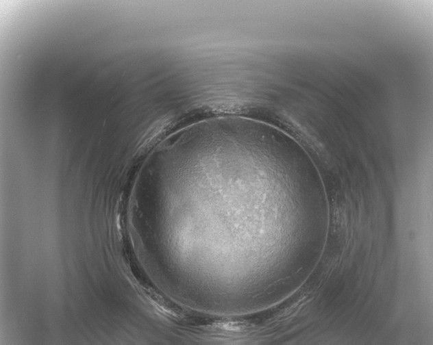 X0000061730117200512050944