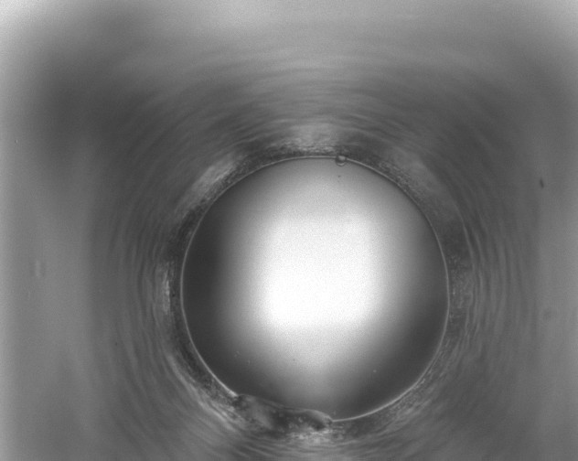 X0000061730120200512050944