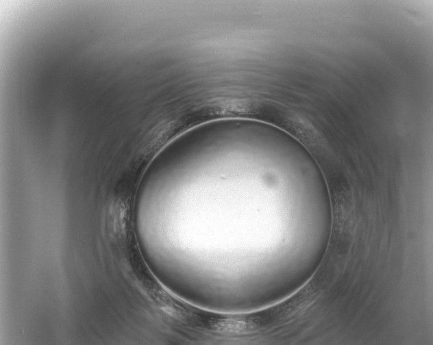 X0000061730123200512050944