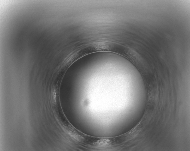 X0000061730124200512050944