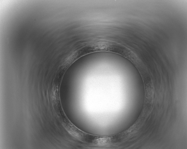 X0000061730126200512050944