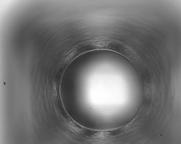 X0000061730128200512050944