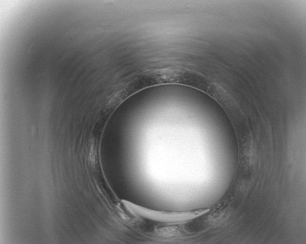 X0000061730129200512050944