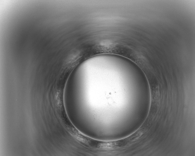 X0000061730131200512050944