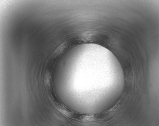 X0000061730132200512050944