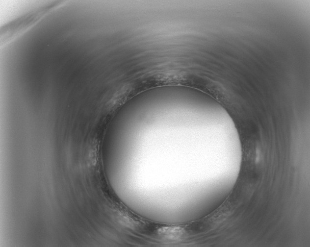 X0000061730133200512050944