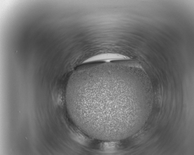 X0000061730134200512050944