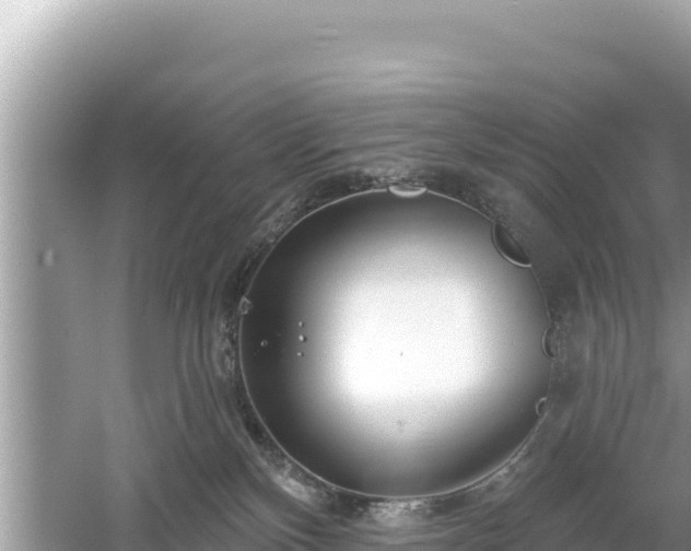 X0000061730136200512050944