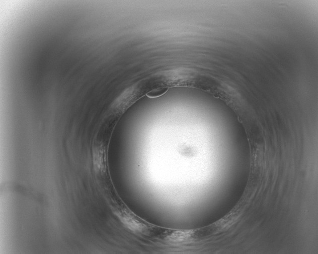 X0000061730138200512050944