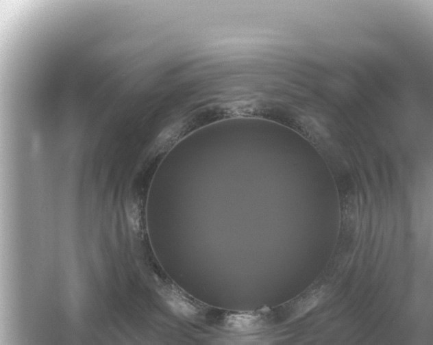 X0000061730139200512050944