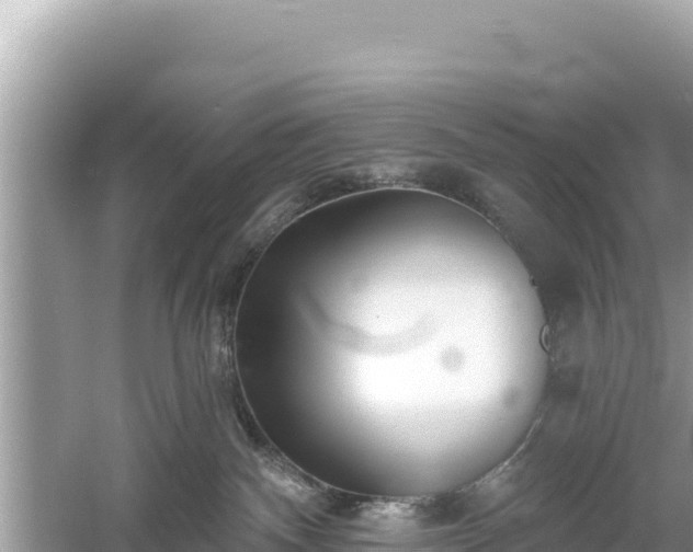 X0000061730140200512050943