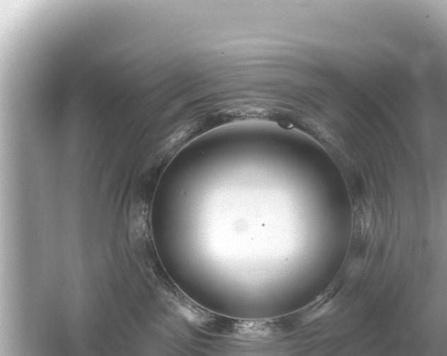 X0000061730141200512050943