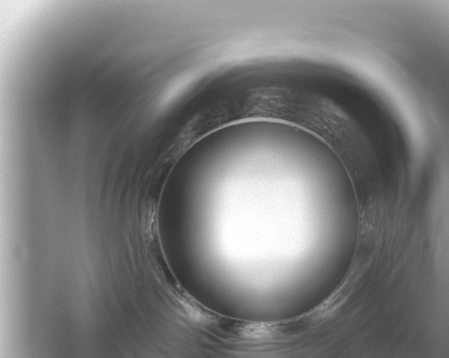 X0000061730142200512050943