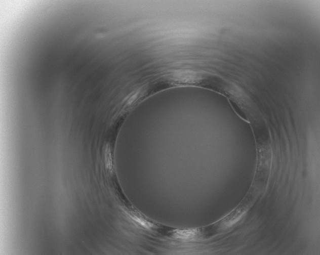 X0000061730143200512050943