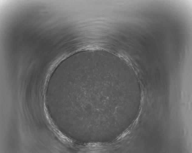 X0000061730145200512050943