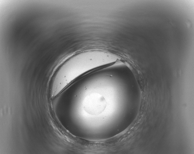 X0000061730146200512050943